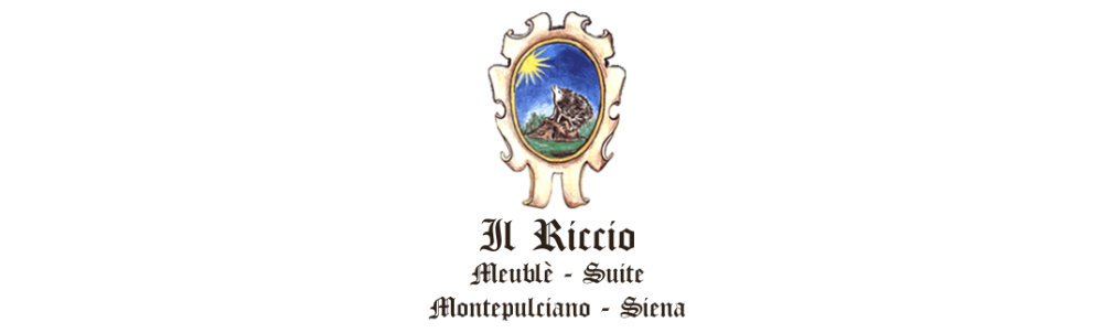 logo-hotel-il-riccio